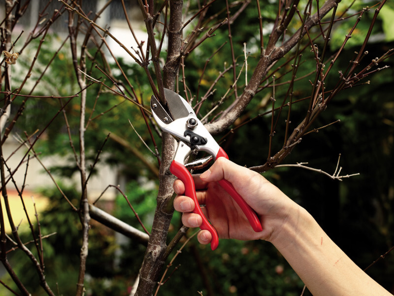 Amboss-Gartenschere aus massivem Aluminium