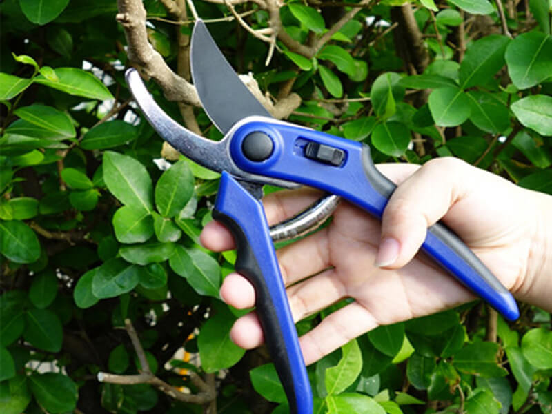Ergonomische Bypass-Gartenschere