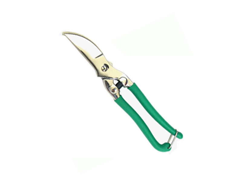 Traditional Forged Pruners