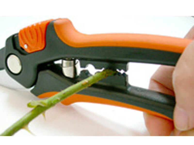 Bypass-Gartenschere mit verstellbarem Griff