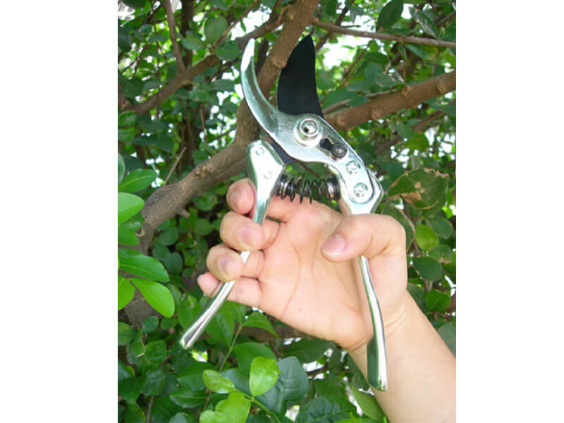 Sécateur de dérivation forgé en aluminium de 215 mm