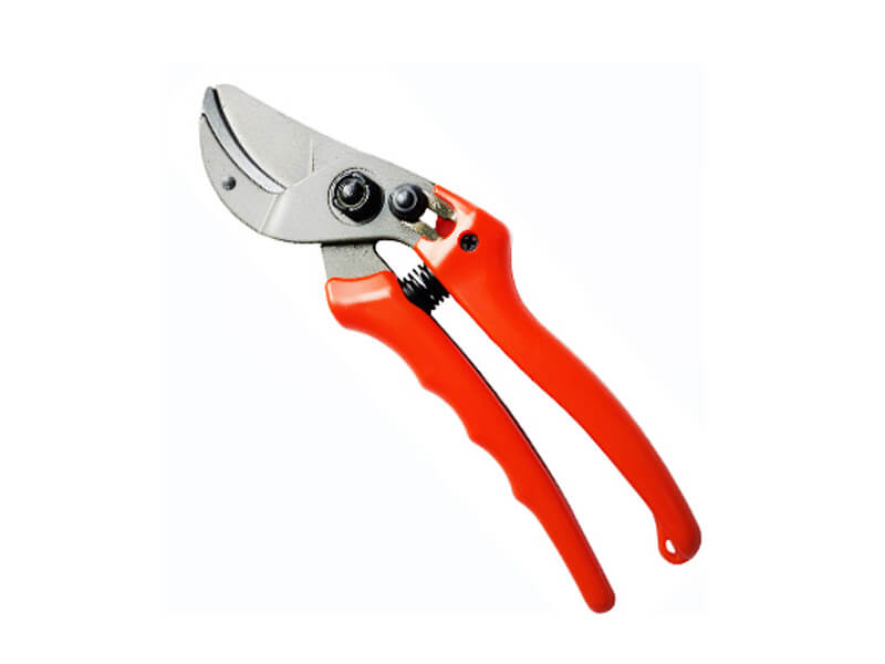 Sécateur professionnel Anvil