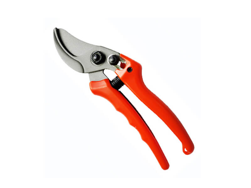 Professionelle Bypass-Gartenschere
