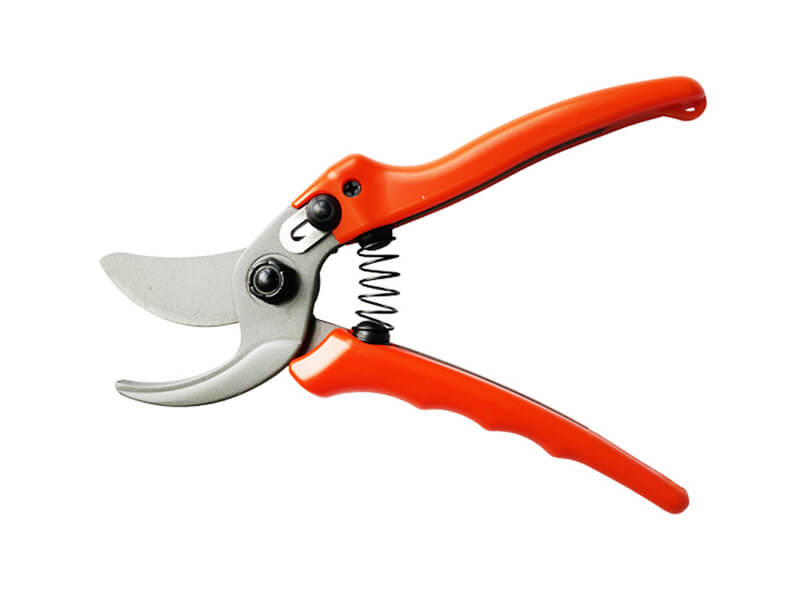 Professionelle Bypass-Gartenschere