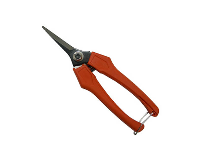 Long-Nose Fruit Scissor