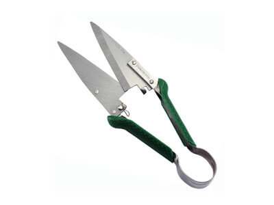 خفيفة الوزن القص Topiary