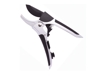 جديد رول المقلم