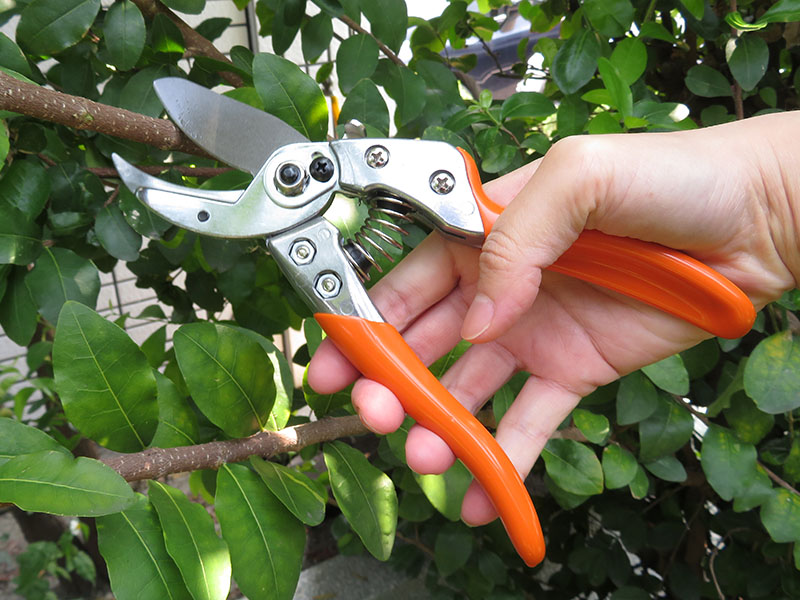 Premium-Bypass-Gartenschere